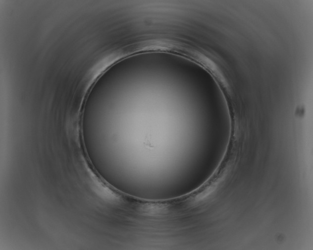 X0000093560802200710151106