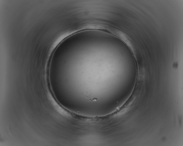 X0000093560803200710151106