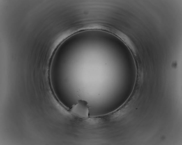 X0000093560805200710151106
