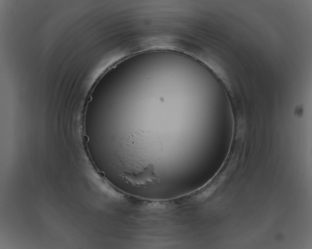 X0000093560806200710151106