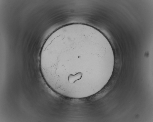 X0000093560807200710151106