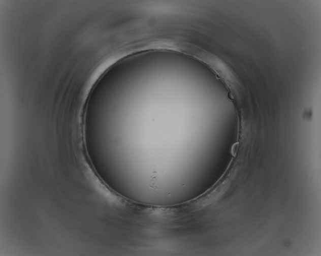 X0000093560808200710151106