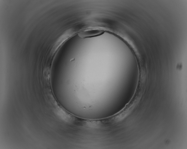 X0000093560809200710151106