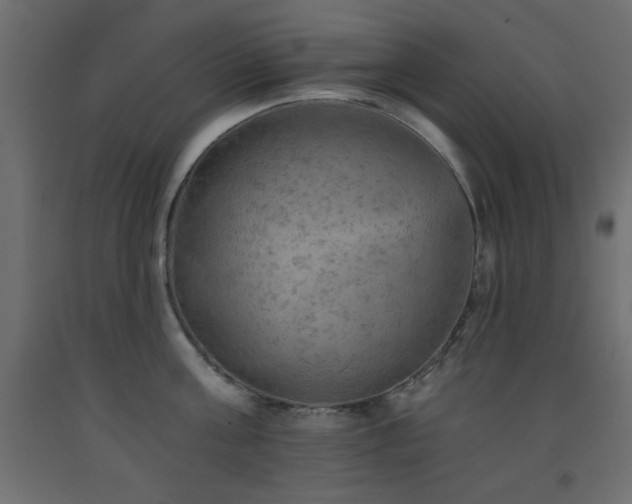 X0000093560811200710151106