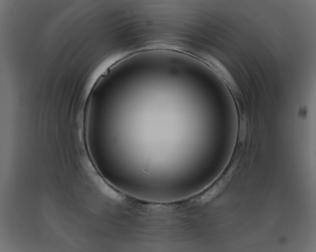 X0000093560812200710151106