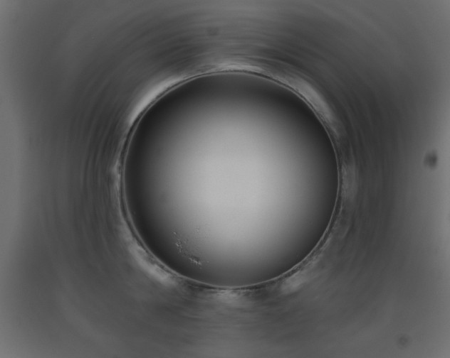 X0000093560814200710151106