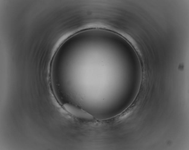 X0000093560815200710151106