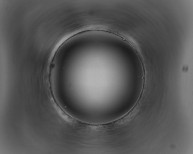 X0000093560816200710151106