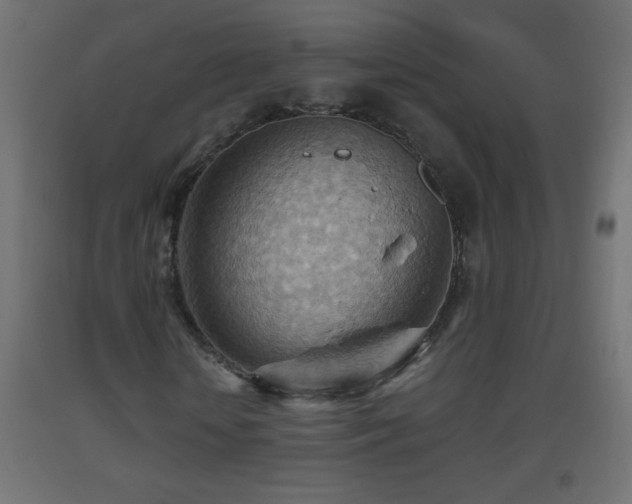 X0000093560818200710151105