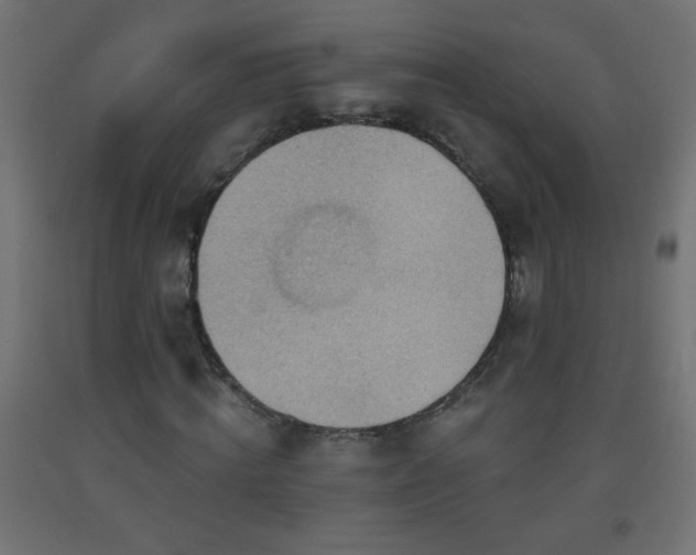 X0000093560820200710151105