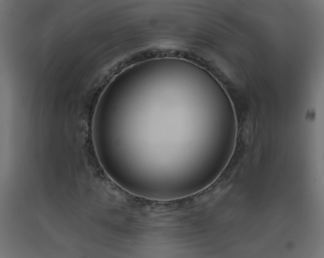 X0000093560821200710151105