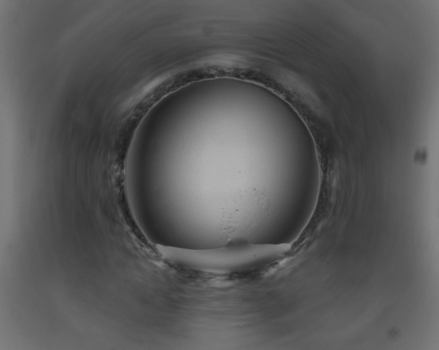 X0000093560822200710151105