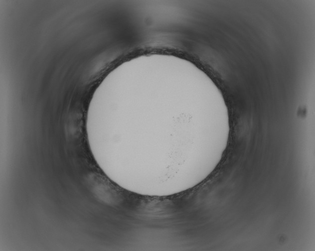 X0000093560824200710151105
