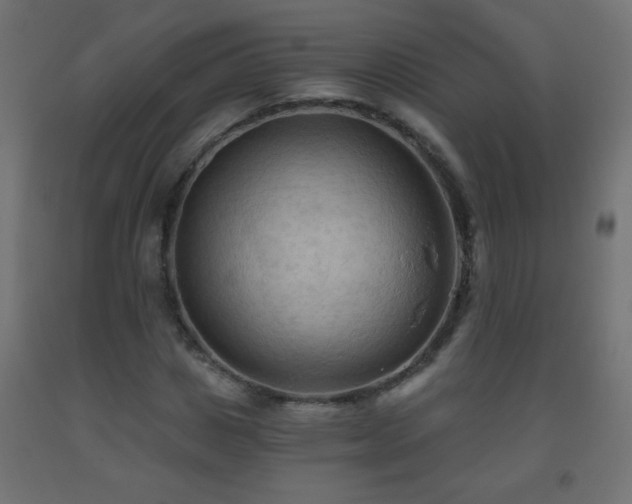 X0000093560825200710151105