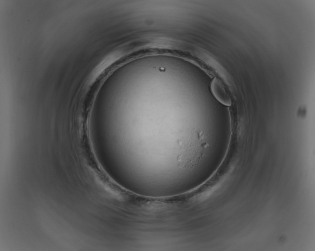X0000093560829200710151105