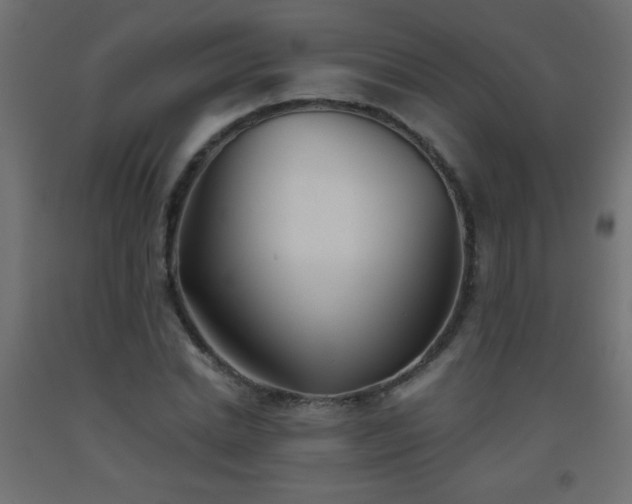 X0000093560830200710151105