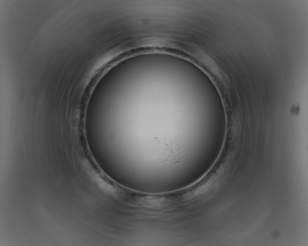 X0000093560831200710151105