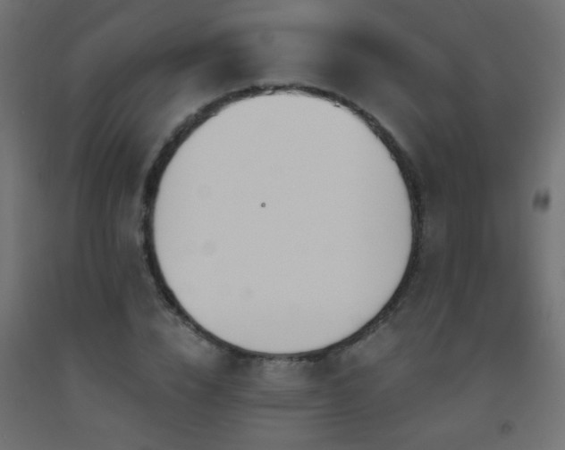 X0000093560832200710151105