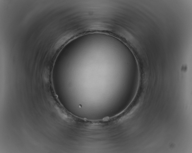 X0000093560833200710151105