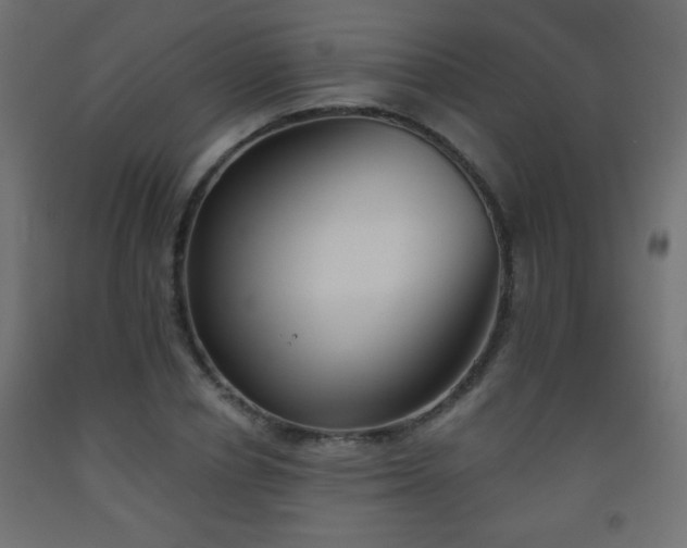 X0000093560834200710151105