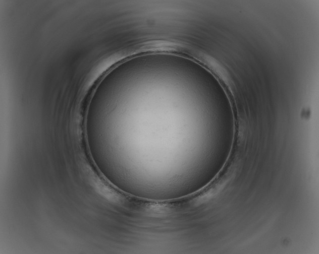 X0000093560835200710151105