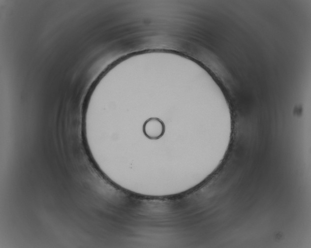 X0000093560836200710151105