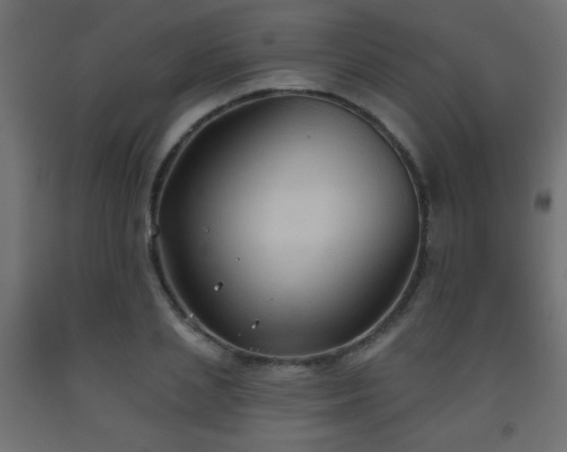 X0000093560837200710151105