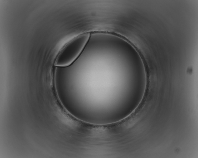 X0000093560838200710151105