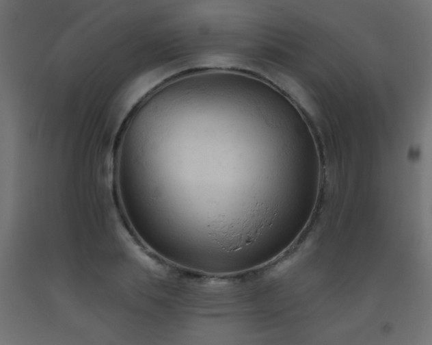 X0000093560839200710151105