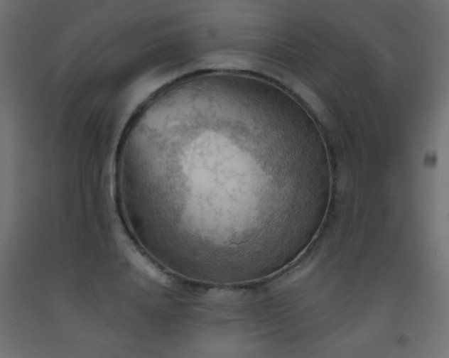 X0000093560840200710151105