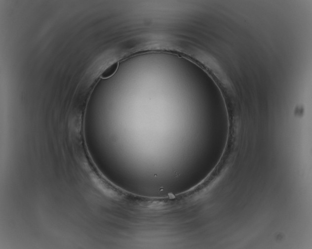 X0000093560841200710151105