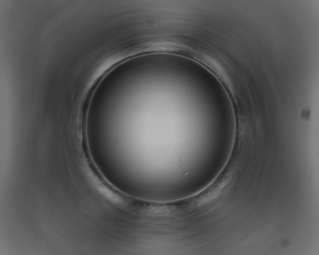 X0000093560843200710151105