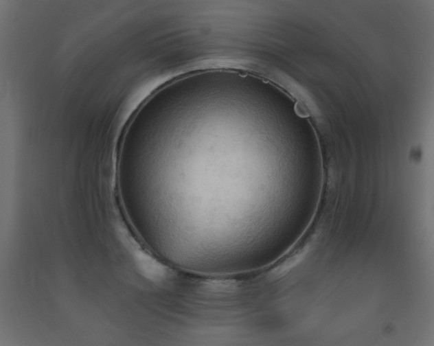 X0000093560844200710151105
