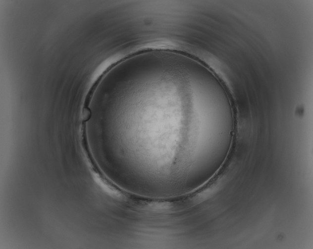 X0000093560845200710151105