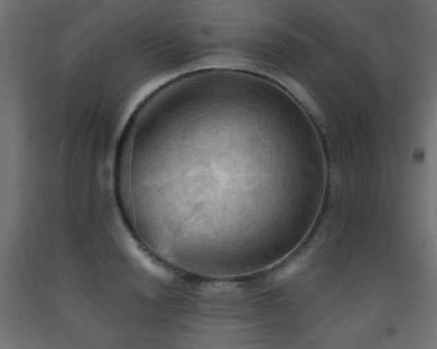 X0000093560846200710151105