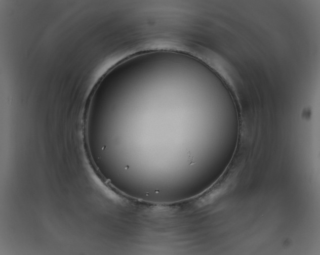 X0000093560847200710151105