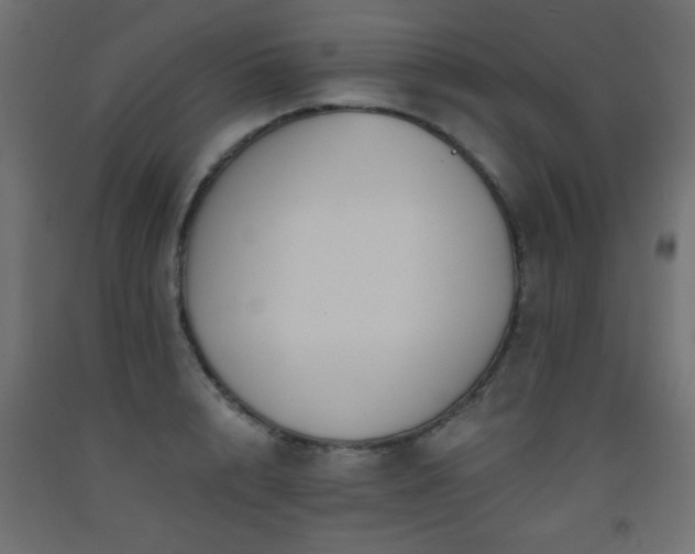X0000093560848200710151105