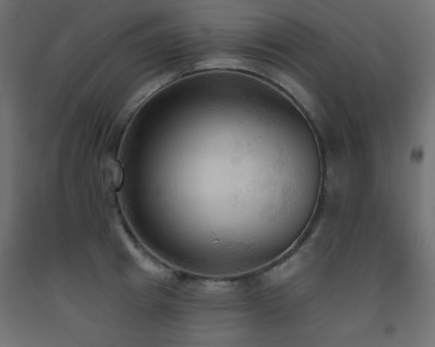 X0000093560849200710151105