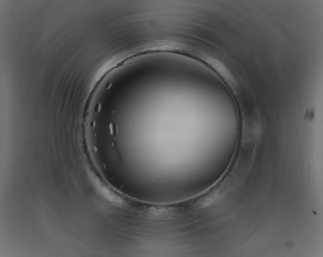 X0000093560850200710151105