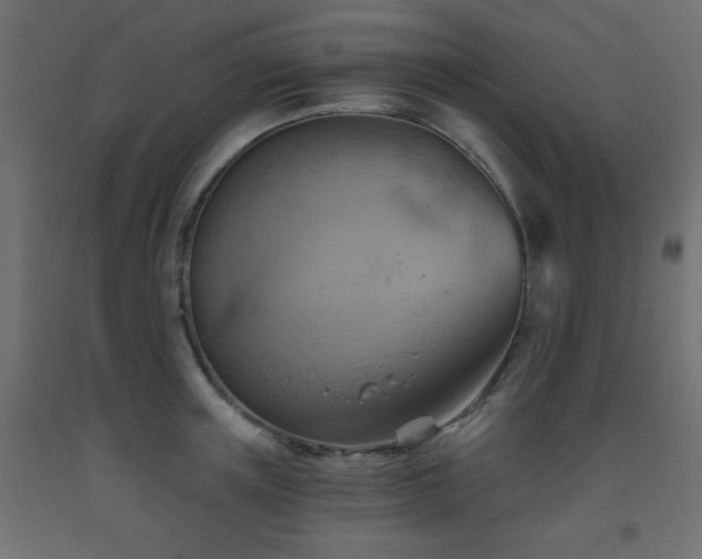 X0000093560851200710151105