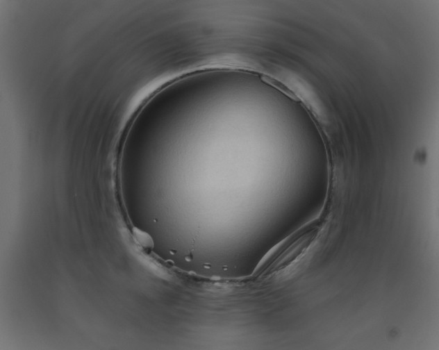 X0000093560854200710151106