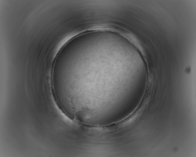 X0000093560855200710151106