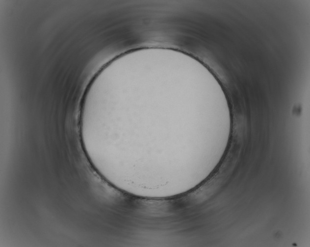 X0000093560856200710151106