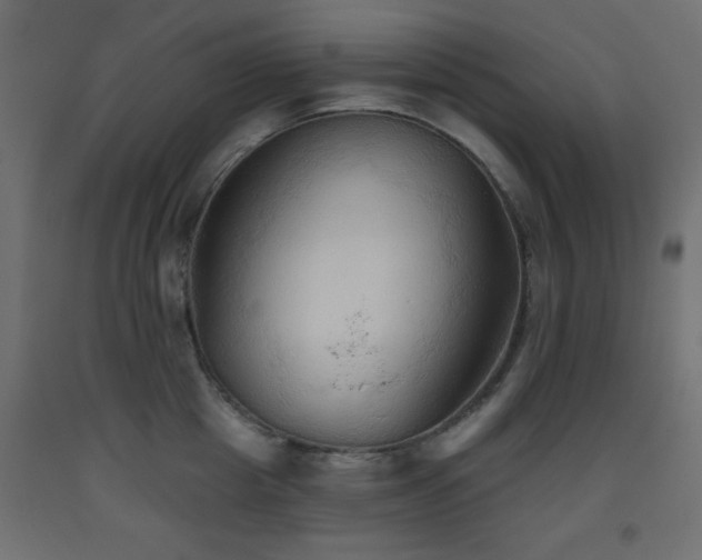 X0000093560857200710151106