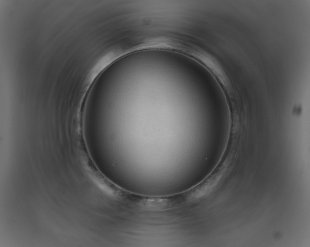X0000093560858200710151106