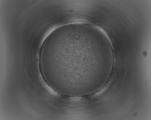 X0000093560859200710151106