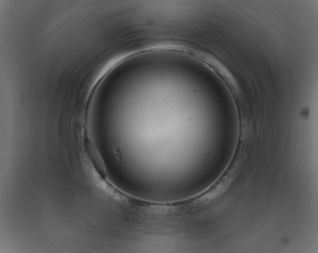 X0000093560860200710151106