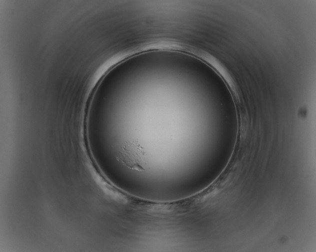 X0000093560861200710151106
