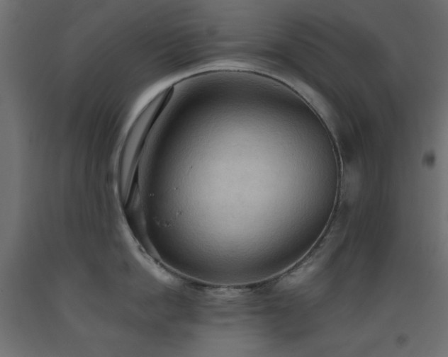 X0000093560862200710151106