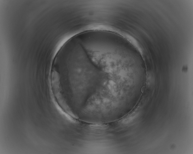 X0000093560863200710151106